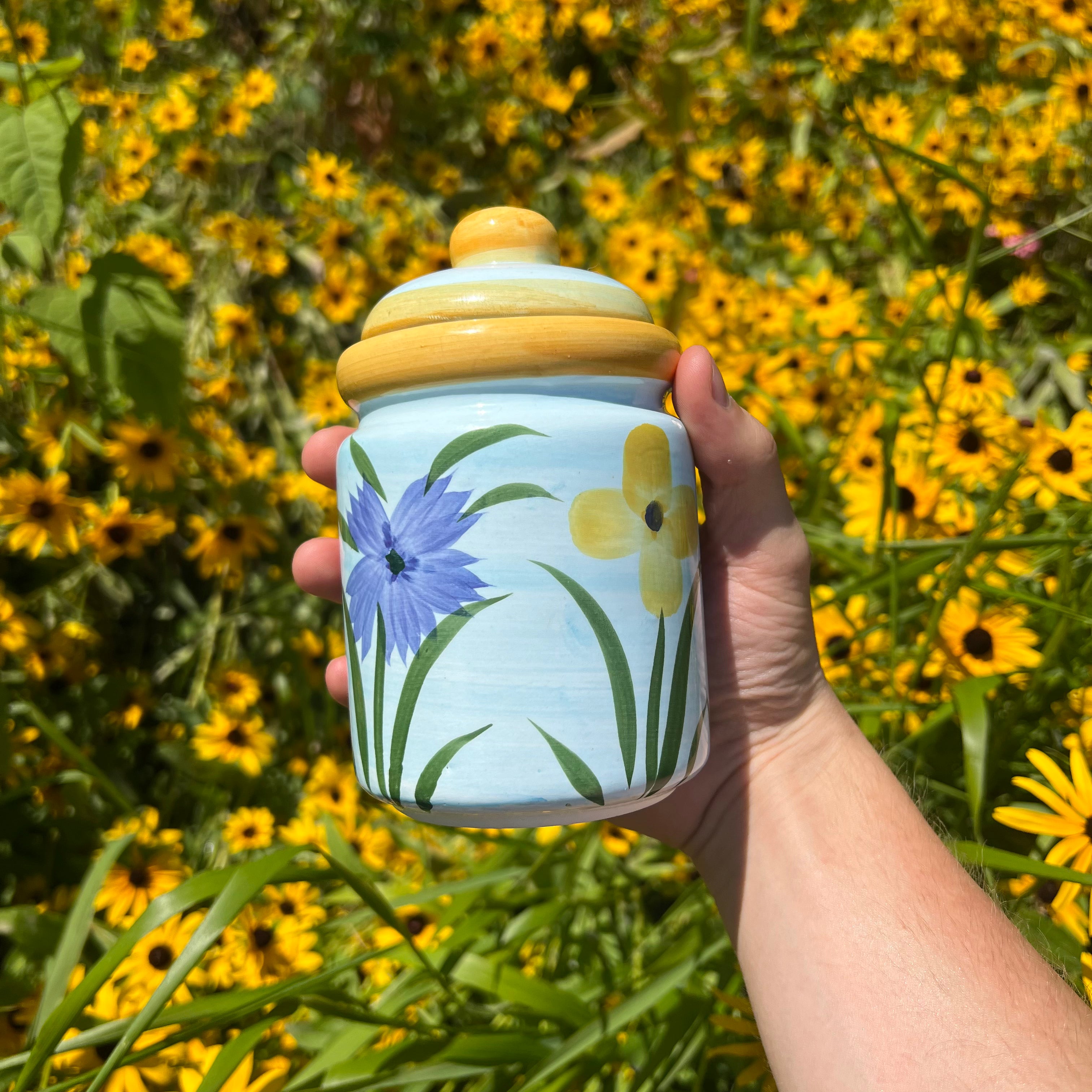 Vibrant Jar with Lid